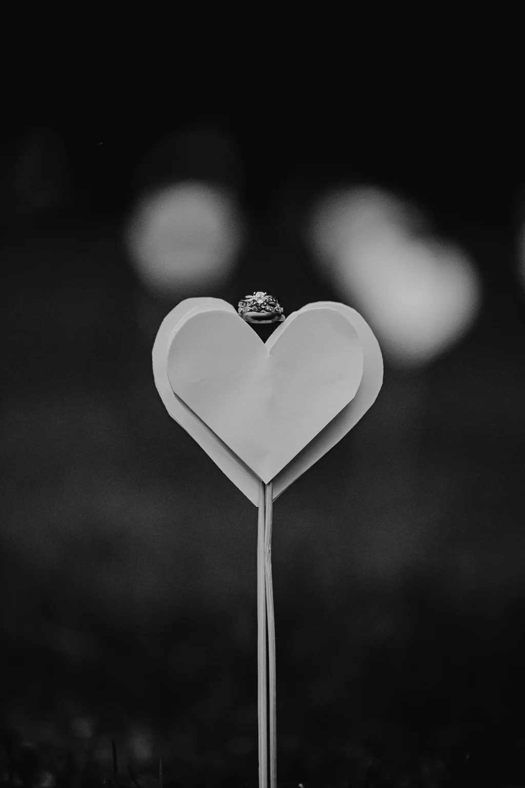All The Little Details — Bezman Wedding-780
