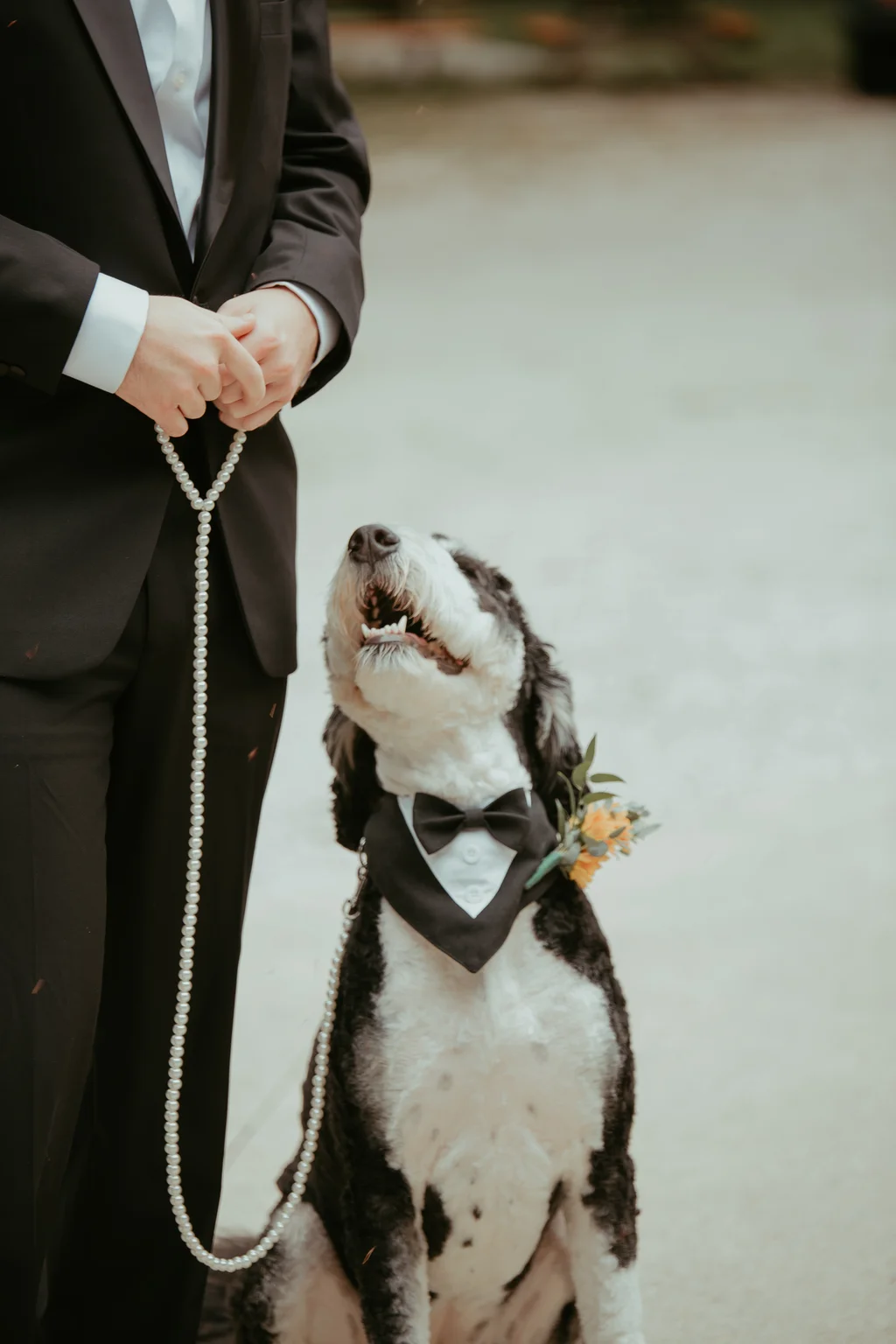 Bride & Groom Portraits — Bezman Wedding-138