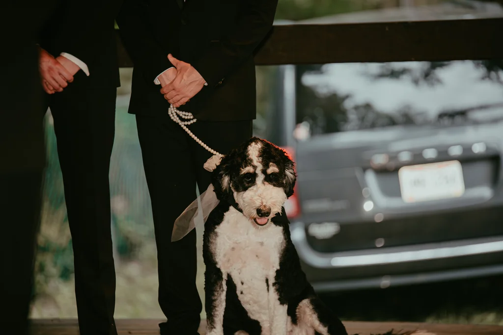Ceremony — Bezman Wedding-533